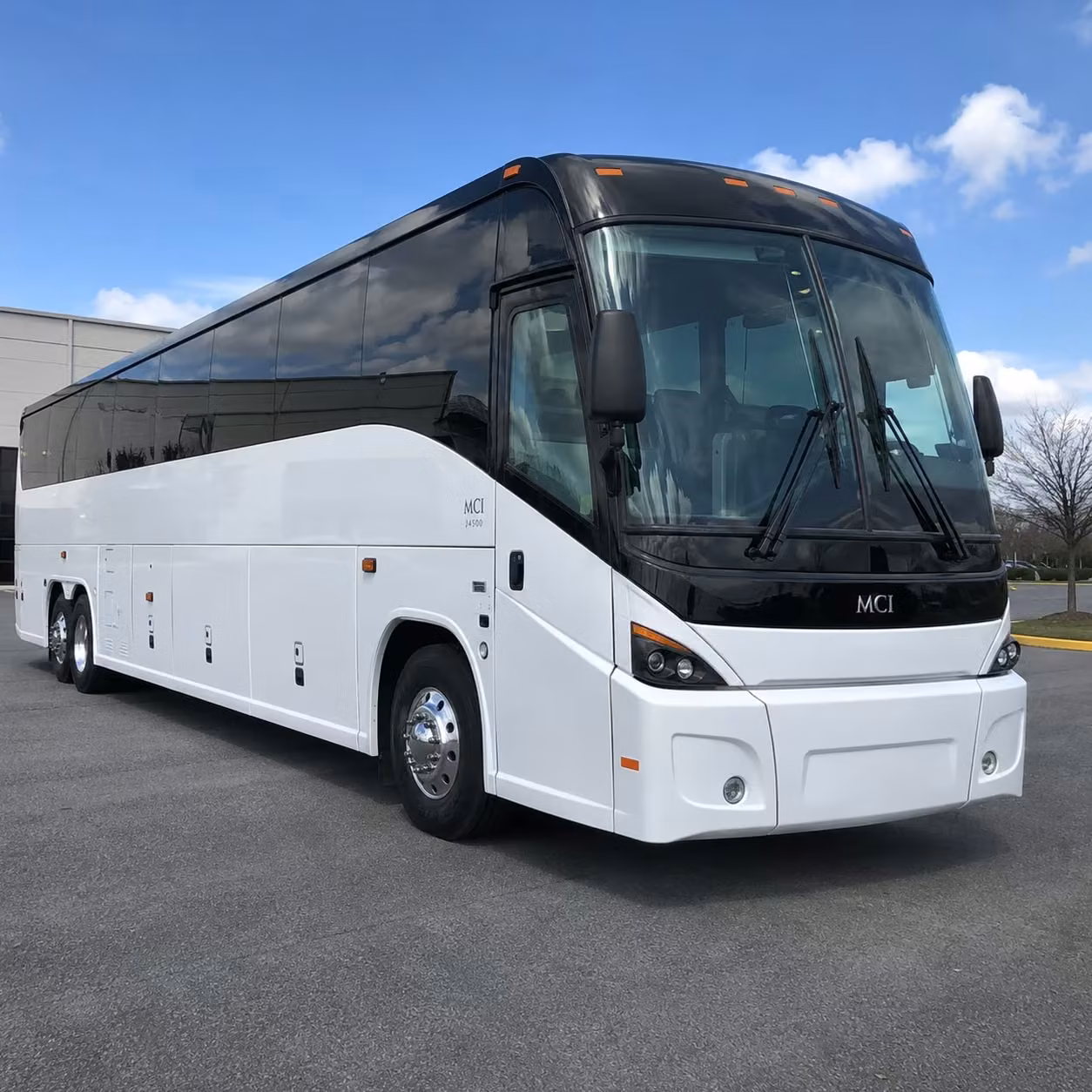 charter buses for billings school field trips to zoomontana and pictograph cave