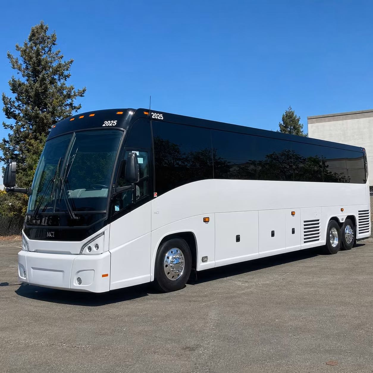 long distance charter bus trips from billings to yellowstone and beyond